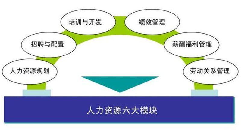 劳务外包选型：别只看报价，服务颗粒度才是分水岭