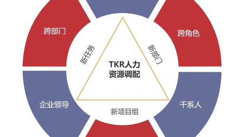 成都人才测评系统：揭秘其核心功能与应用场景
